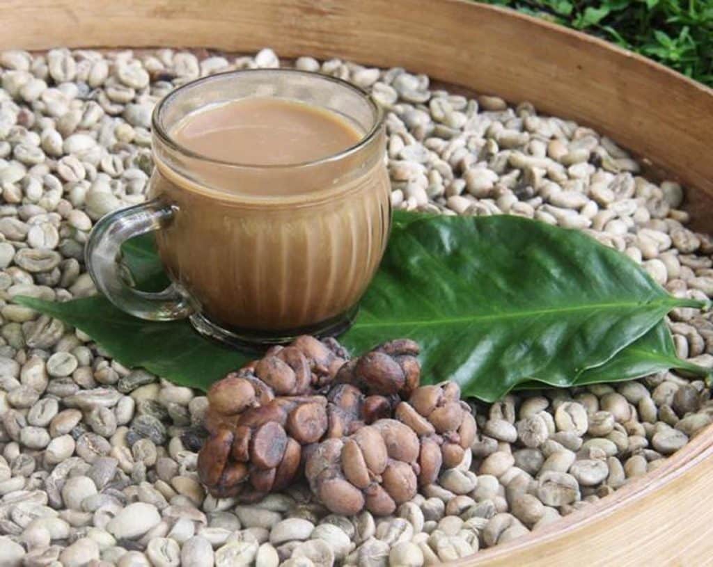 Cat Poop Coffee Pure Kopi Luwak