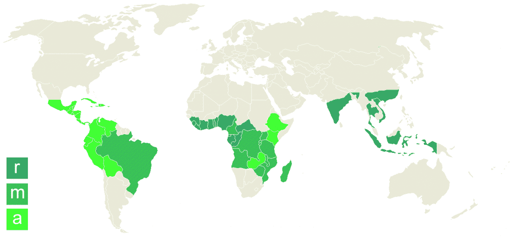 Arabica vs Robusta Coffee Beans Map