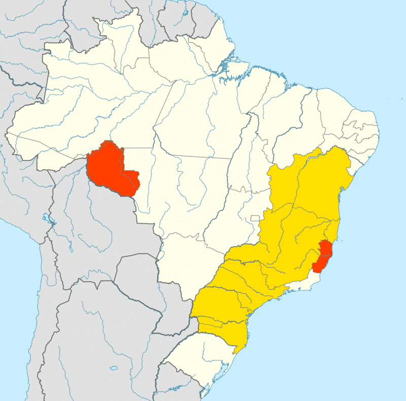 Brazil's coffee growing regions by type. Yellow is arabica, orange is robusta