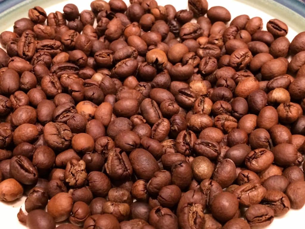 Roasted Robusta Beans. Photo: Carter Brown