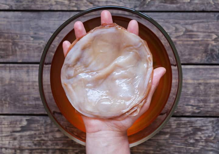 Don't be scared - this is what every SCOBY looks like.